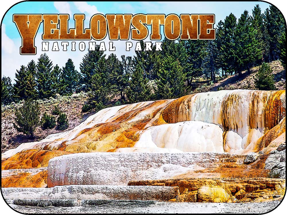 Yellowstone Mammoth Hot Springs Forest