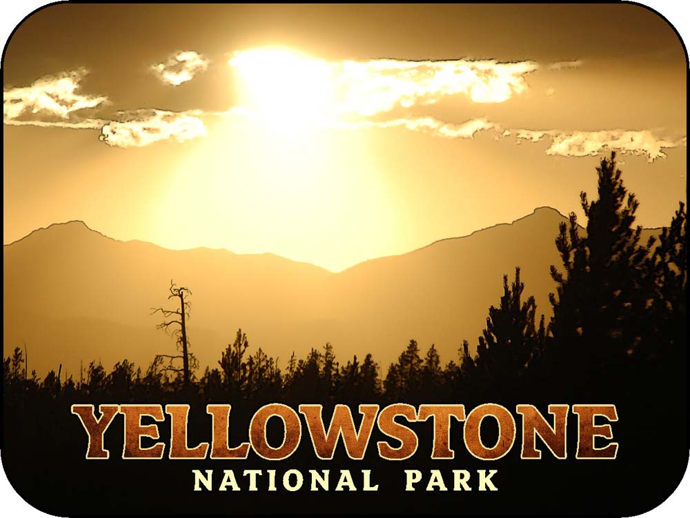 Yellowstone Forest Silhouette