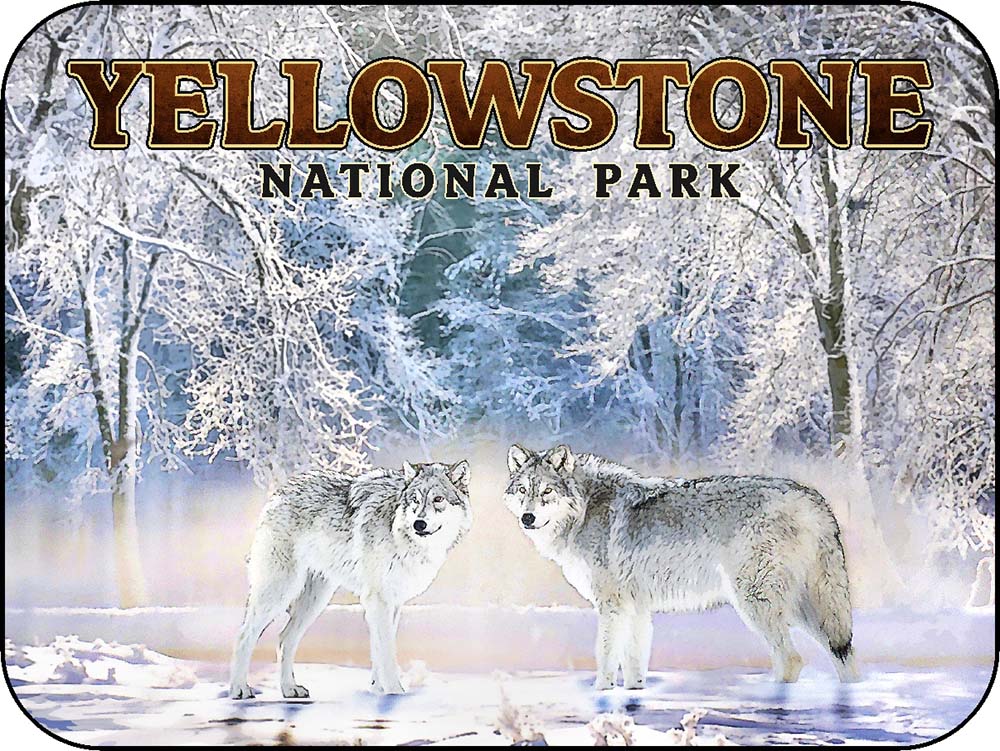 Yellowstone Winter Wolves