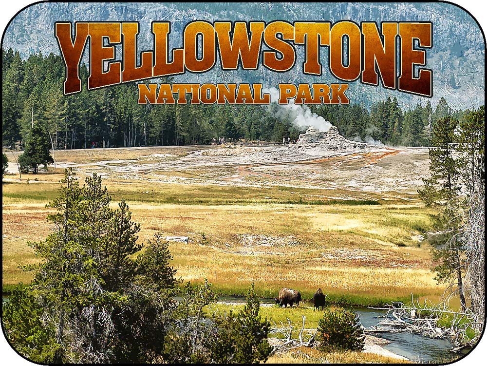 Yellowstone Bison & Old Faithful