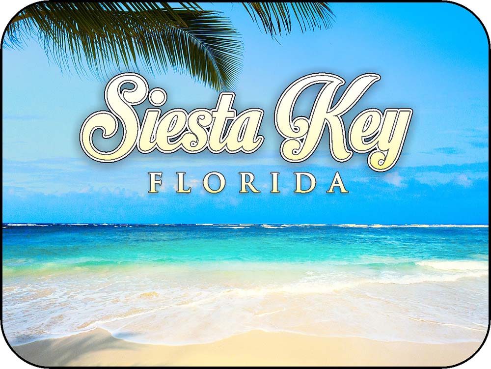 Siesta Key Florida Open Ocean Palm Frond