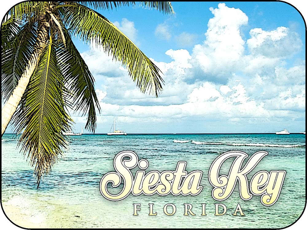 Siesta Key Florida Palm Shore & Ships