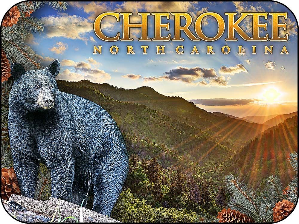 Cherokee NorthCarolina BlackBearSunlight