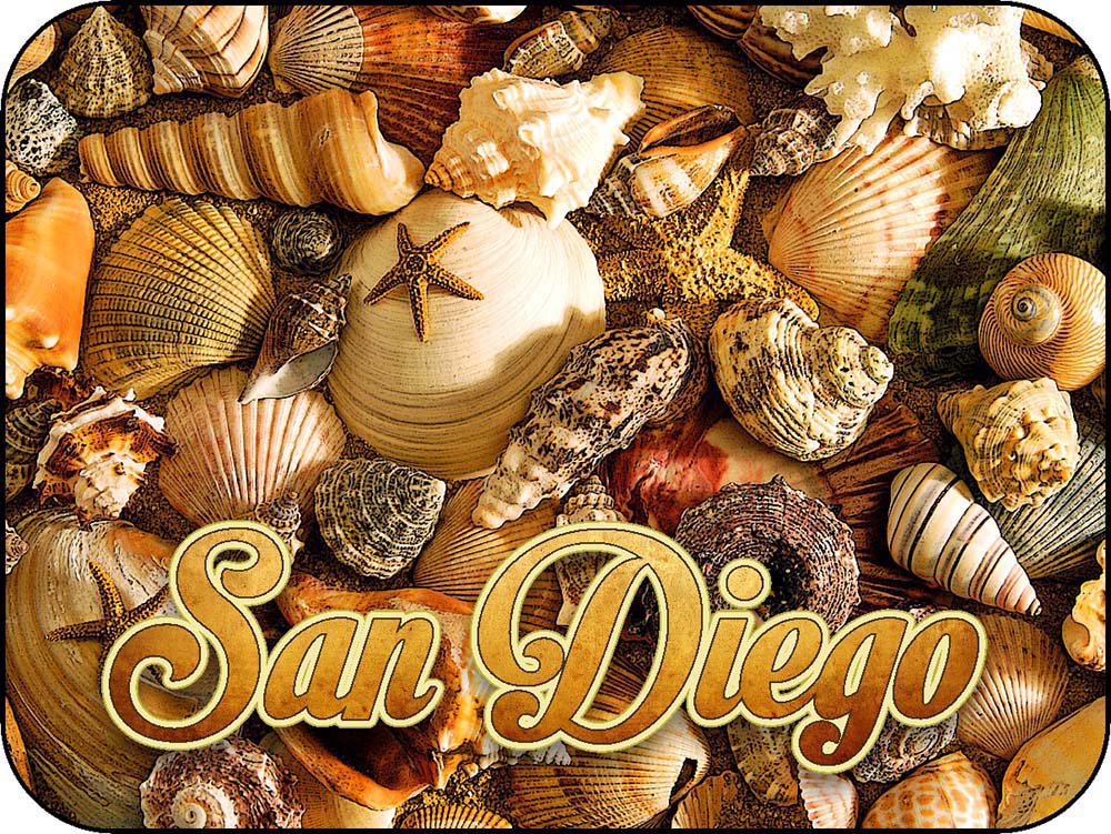 San Diego California Beach Shells