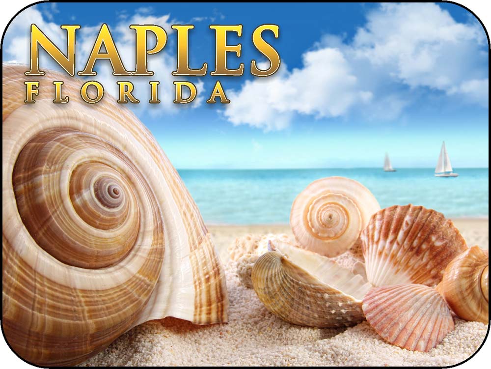 Naples Florida Shells & Ships