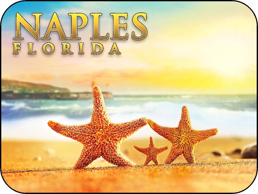 Naples Florida Starfish Family