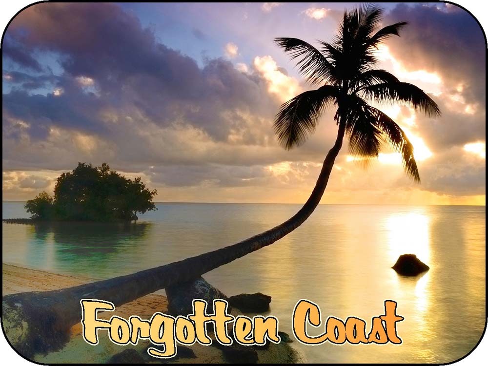 Forgotten Coast Sunset Palm