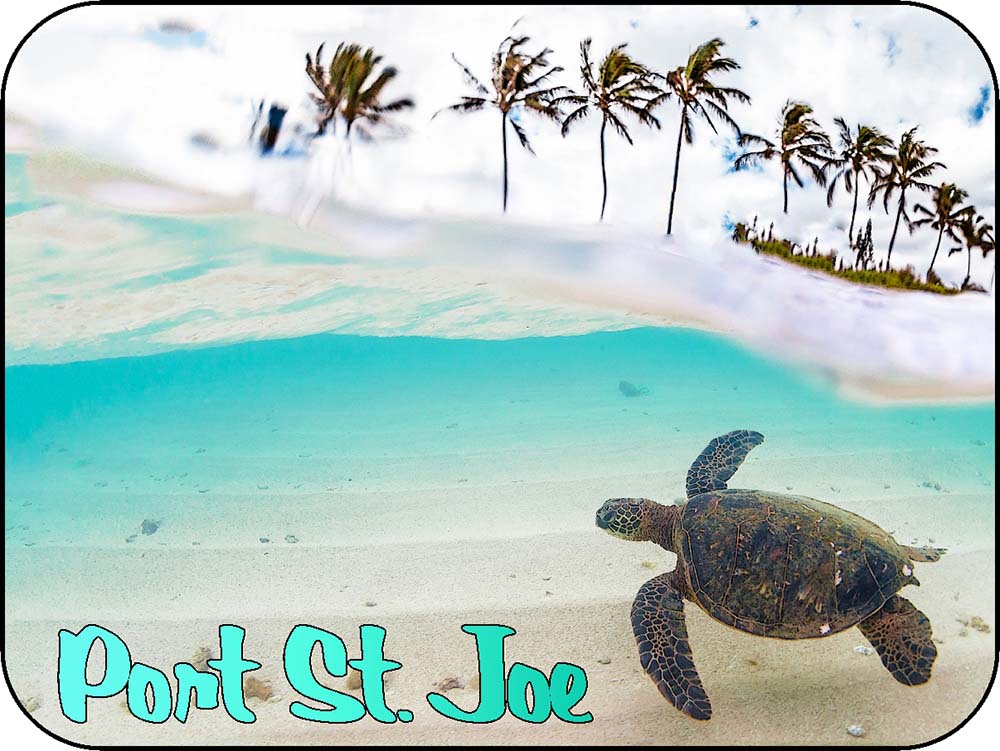 Port St. Joe Beach and Turtle