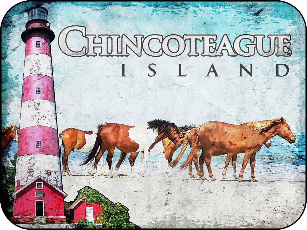 Chincoteague Island Virginia Lighthouse & Ponies