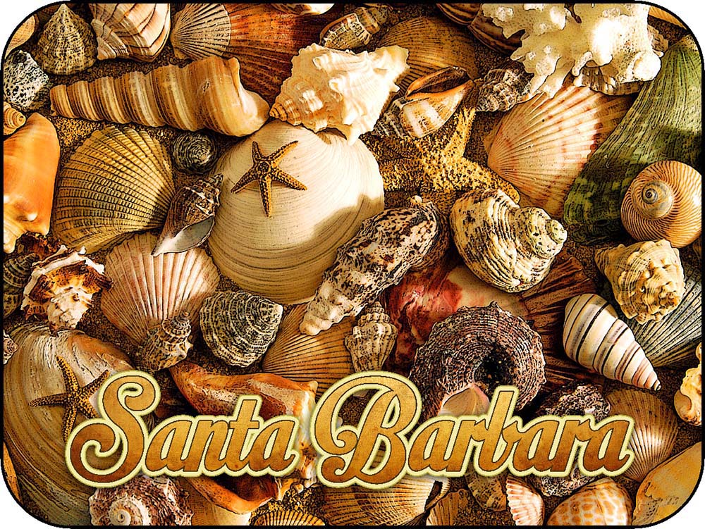 Santa Barbara California Beach Shells