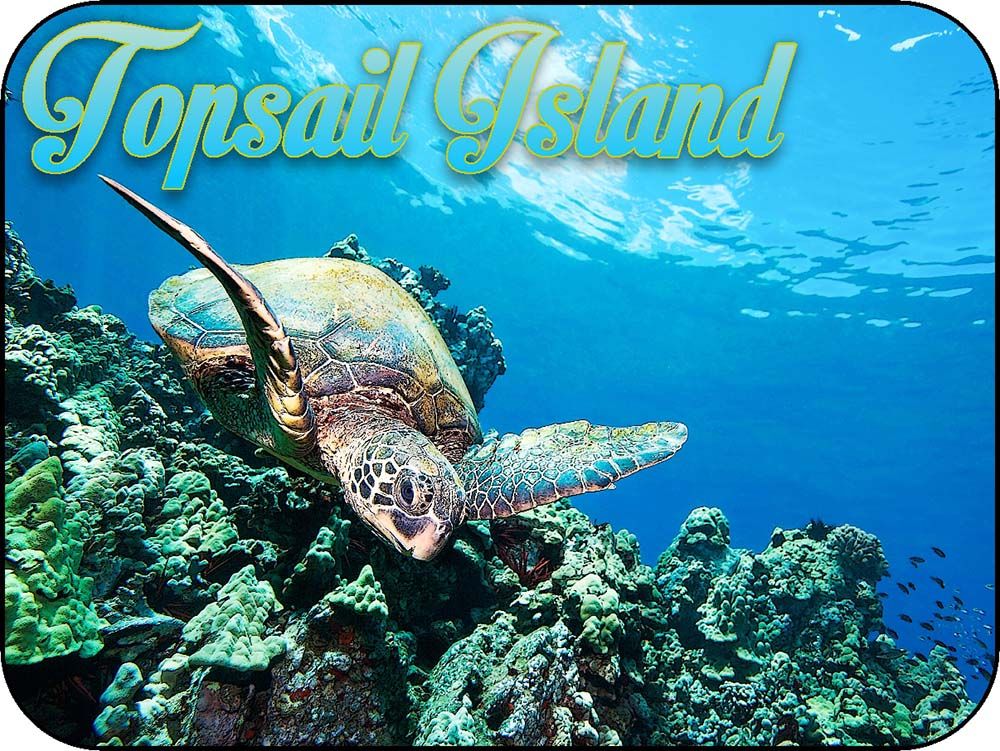 TopsailIsland CoralSeaTurtle