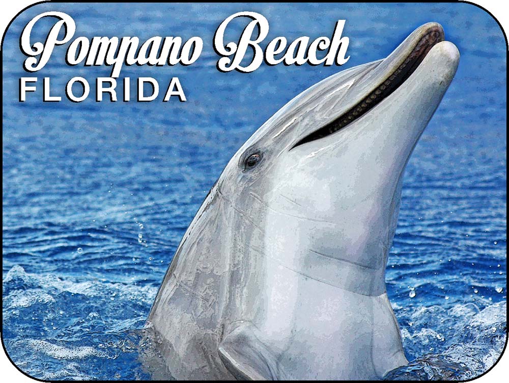 Pompano Beach Florida Dolphin