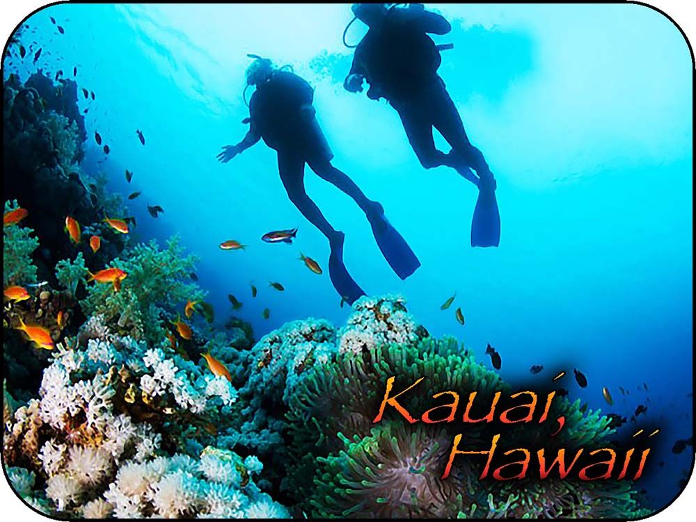 Kauaii Hawaii Fisher House Reef Divers