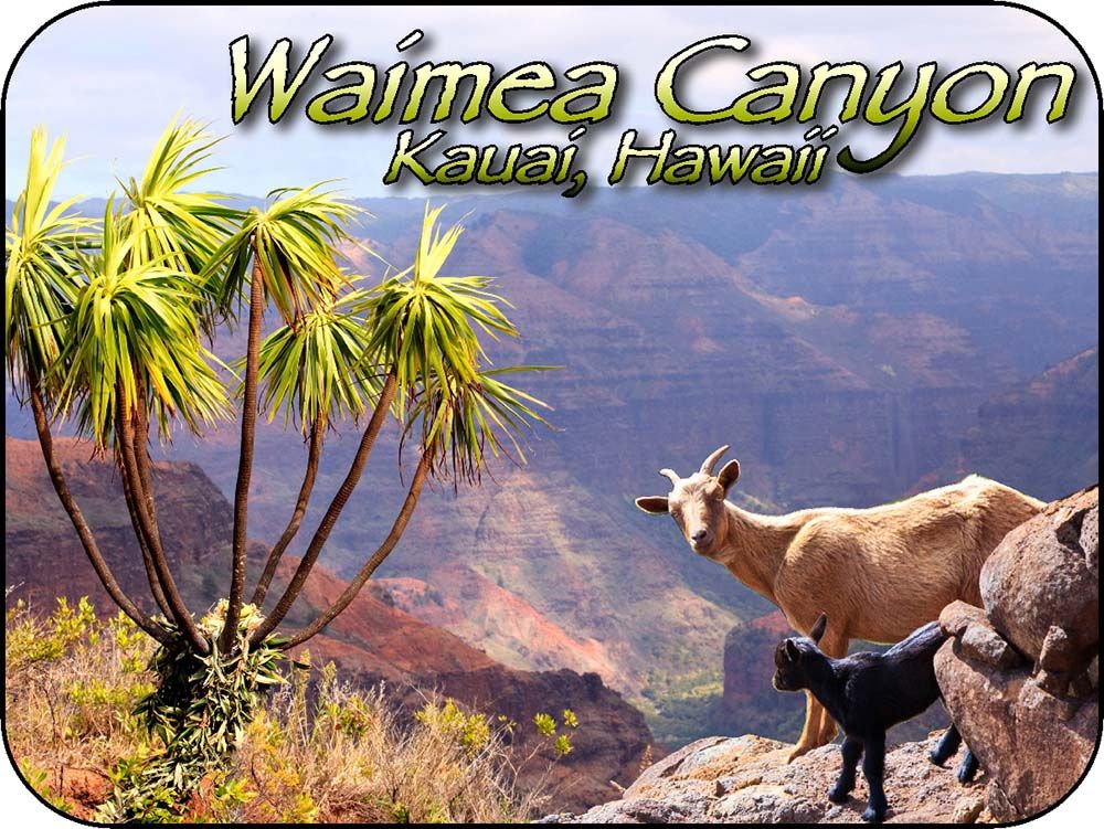 Waimea Canyon Hawaii Magnet