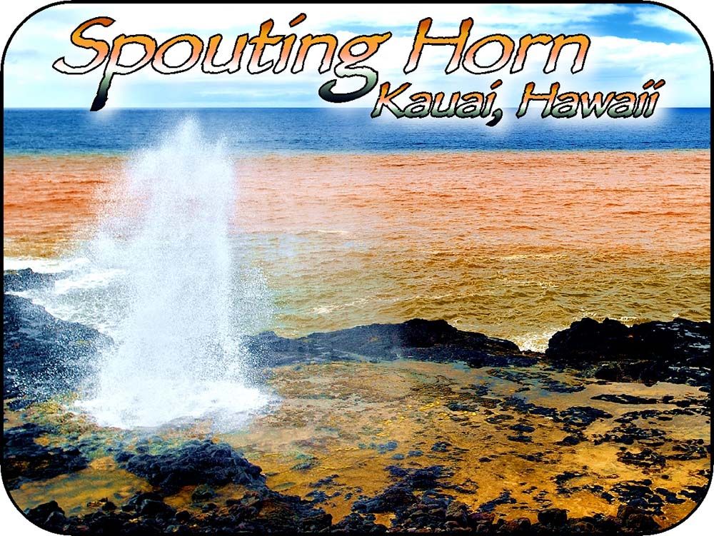 Spouting Horn Hawaii Magnet