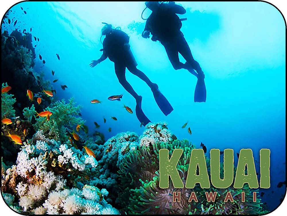 Kauai Hawaii Scuba Divers Underwater