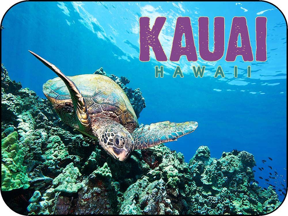 Kauai Hawaii Coral Reef SeaTurtle