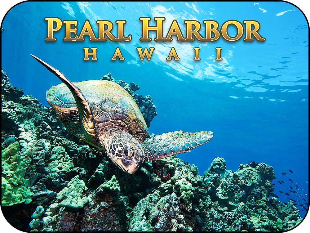 Pearl Harbor Hawaii Coral SeaTurtle