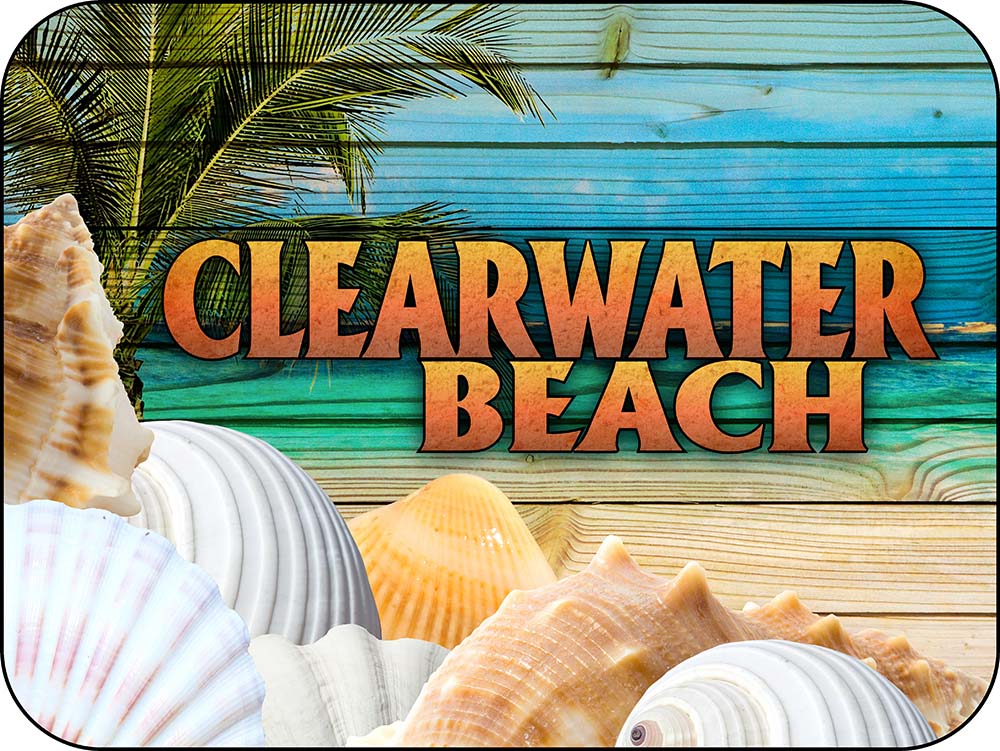 Clearwater Beach Florida Sea Shells Magnet