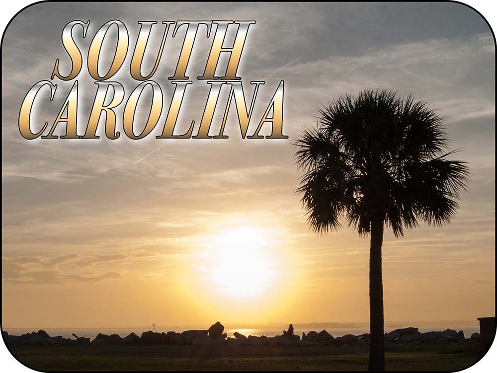 South Carolina Palmetto Magnet