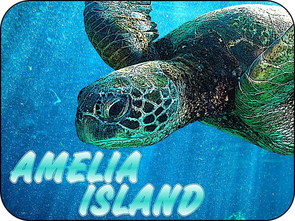 Amelia Island Sea Turtles Florida Magnet