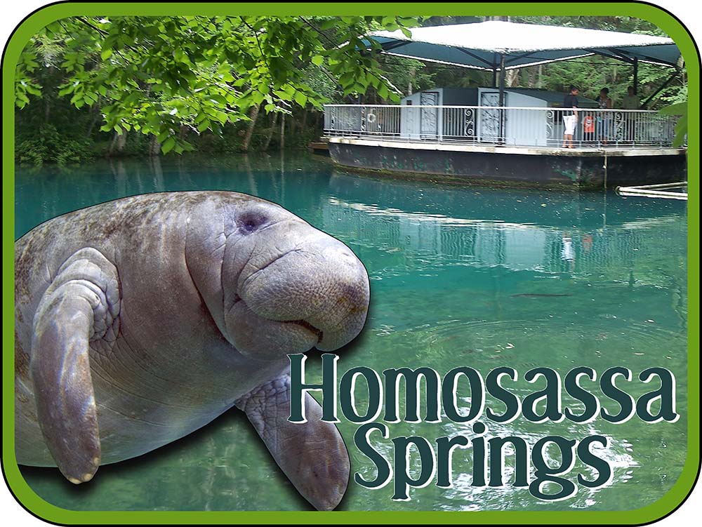 Homosassa Springs Florida Manatee Magnet