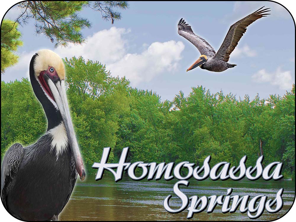 Homosassa Springs Florida Magnet