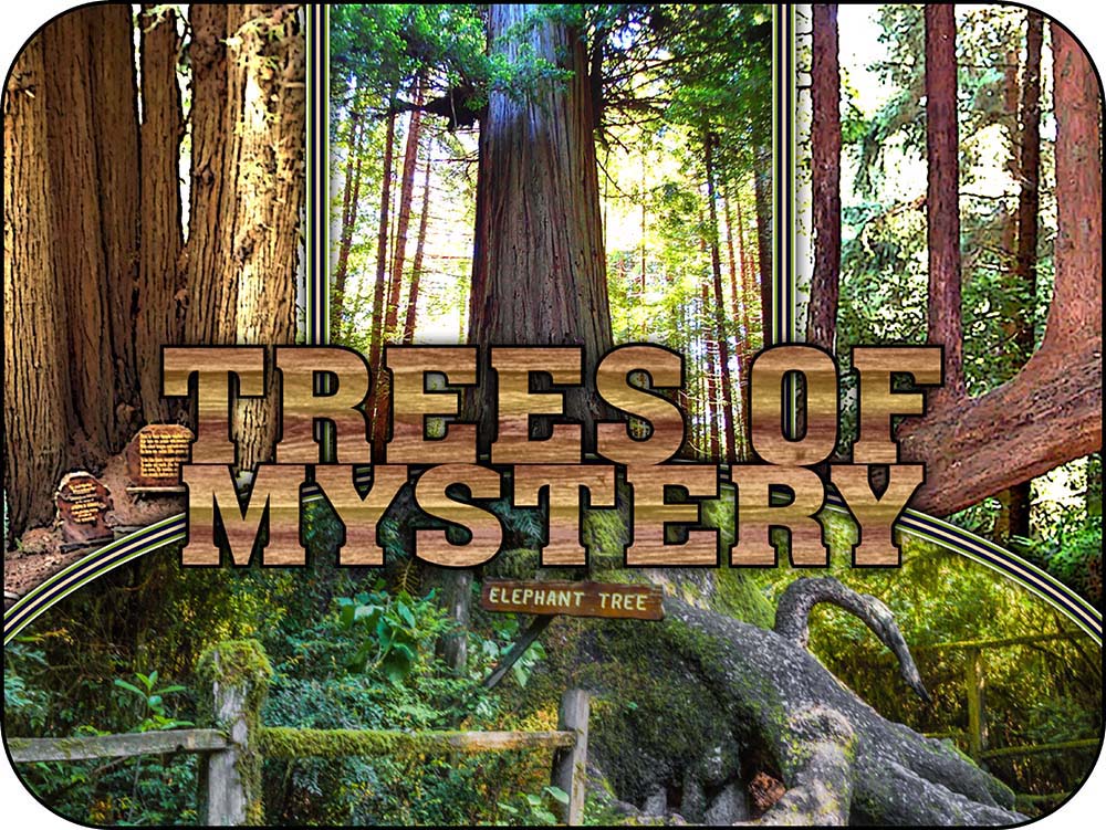 Trees of Mystery Redwoods California Magnet