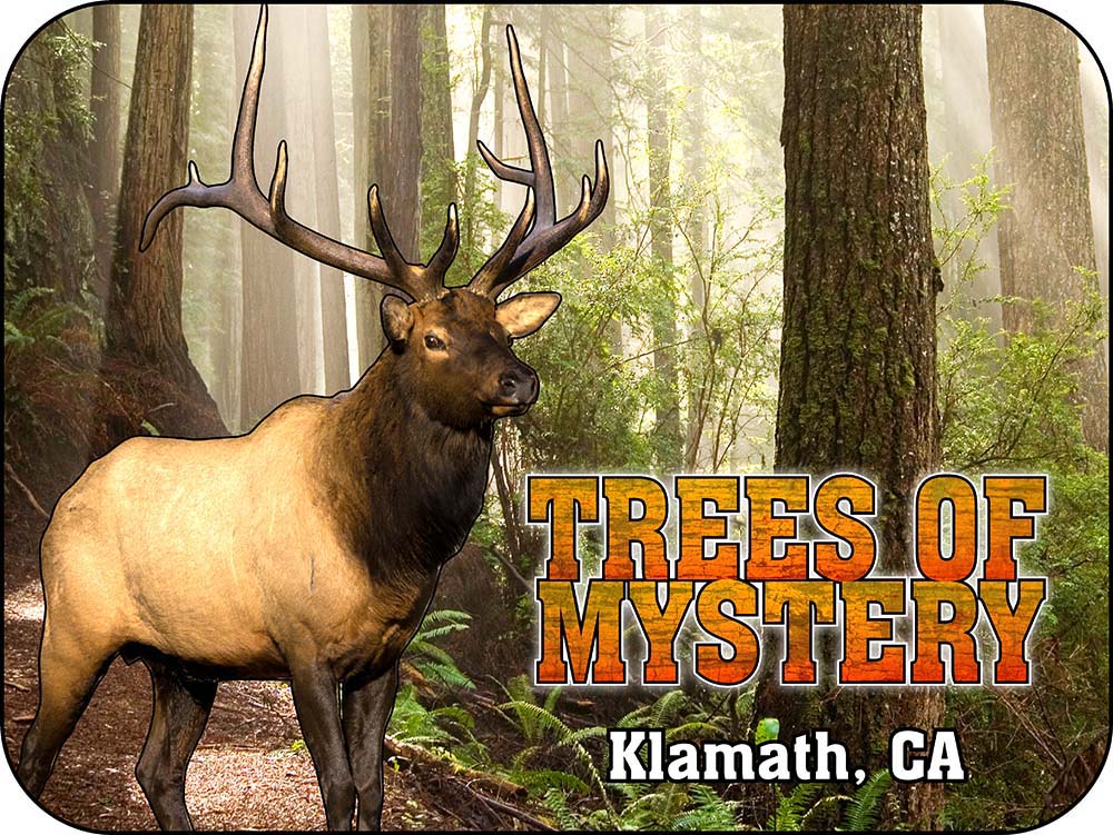 Trees of Mystery Elk California Magnet