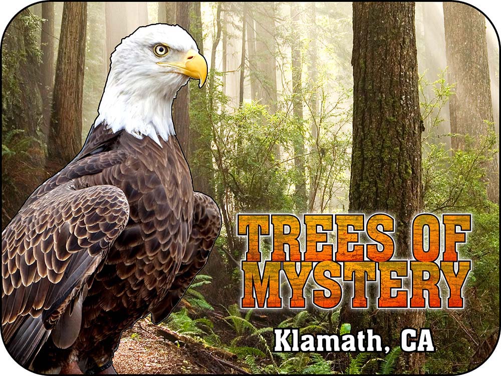 Trees of Mystery Eagle California Magnet