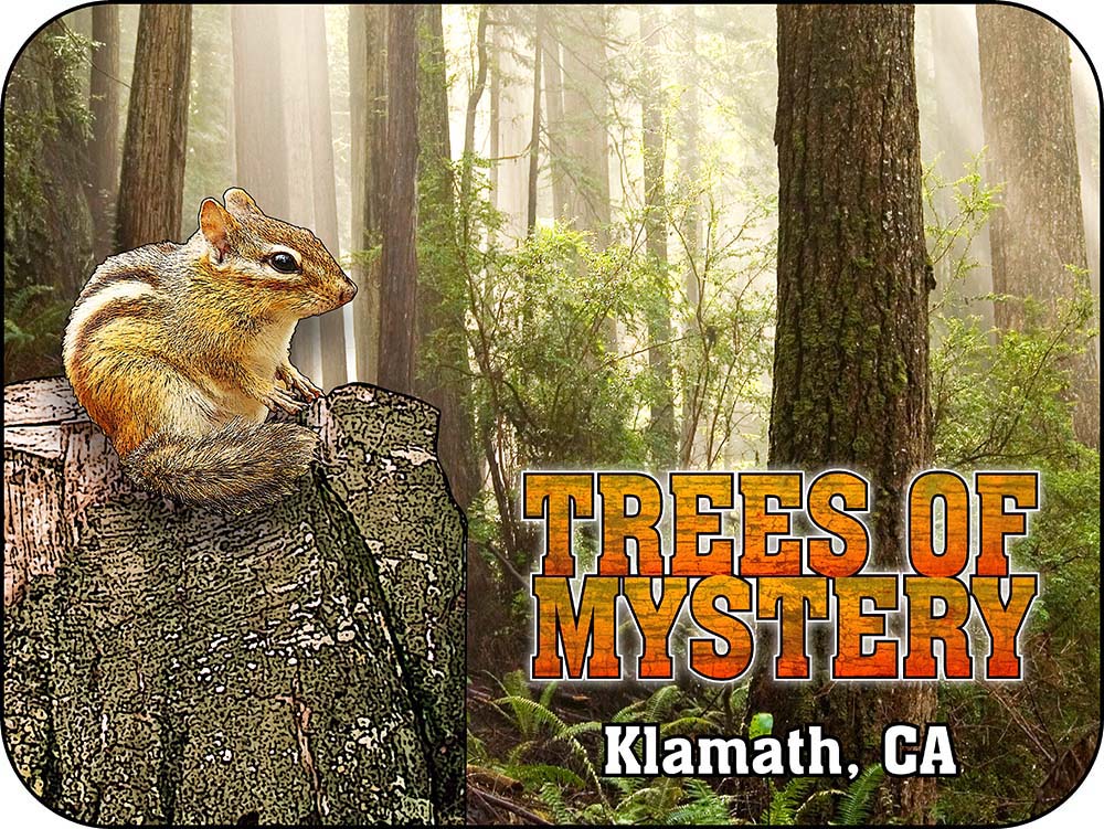 Trees of Mystery Chipmunk California Magnet