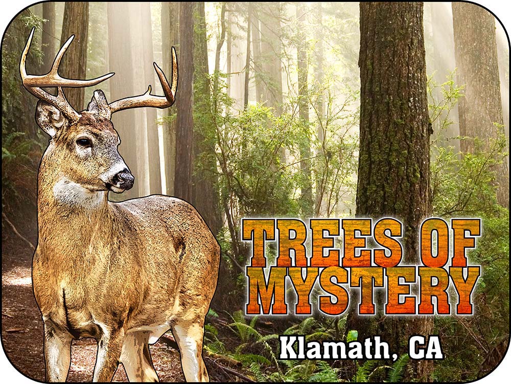 Trees of Mystery Deer California Magnet