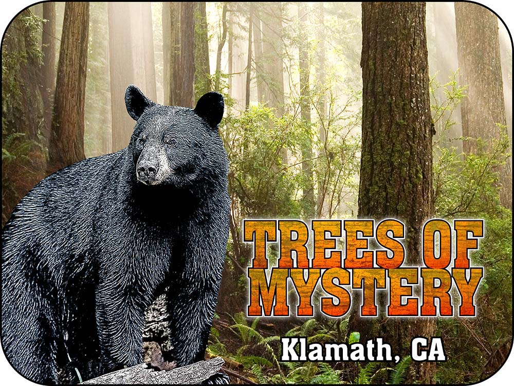 Trees of Mystery Black Bear California Magnet