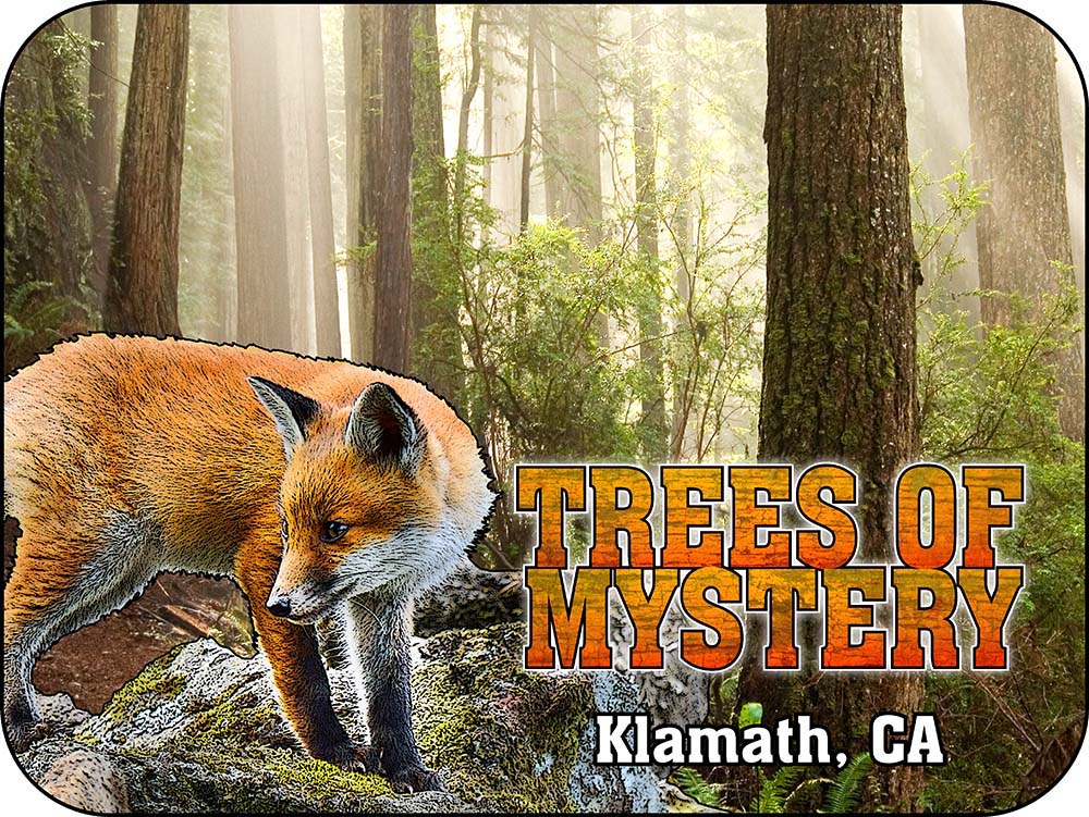 Trees of Mystery Fox California Magnet