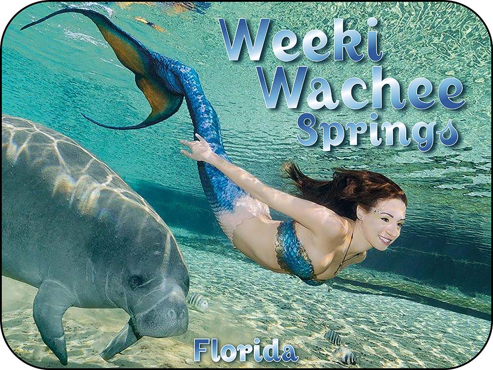 Weeki Wachee Springs Florida Mermaids Magnet