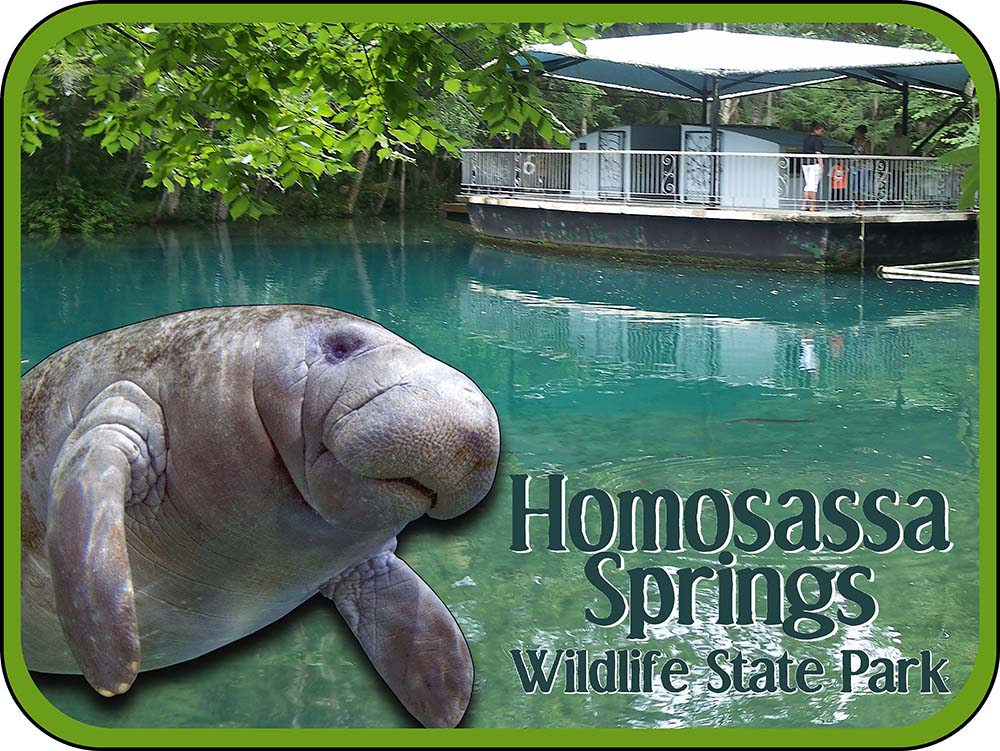 Homosassa Springs Wildlife State Park Florida Manatee Magnet