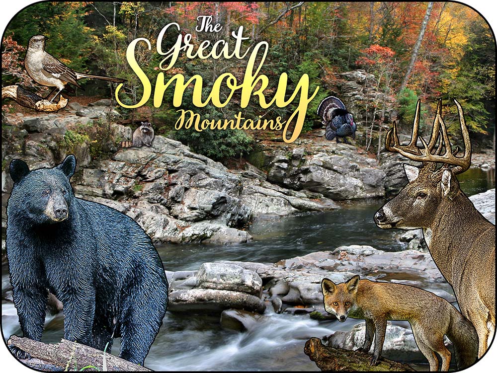 Great Smoky Mountains Animal Collage Fall Scene Magnet