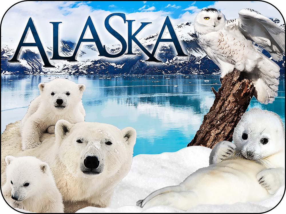 Alaska Harp Seal & Polar Bears - Snowy Owl Glacier