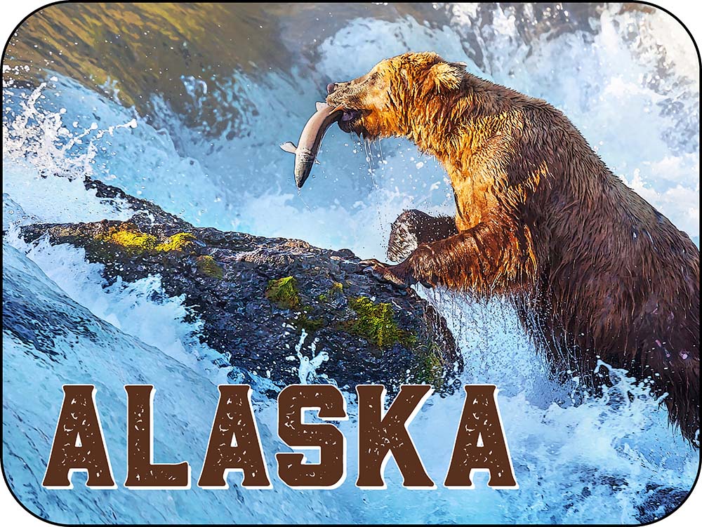 Alaska Fishing Grizzly Bear Salmon - Horizontal