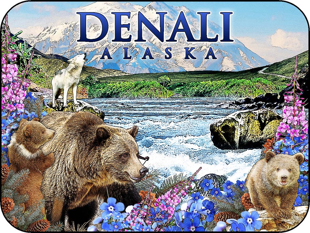 Delani Alaska Grizzly Bear Cub & River Wildlife