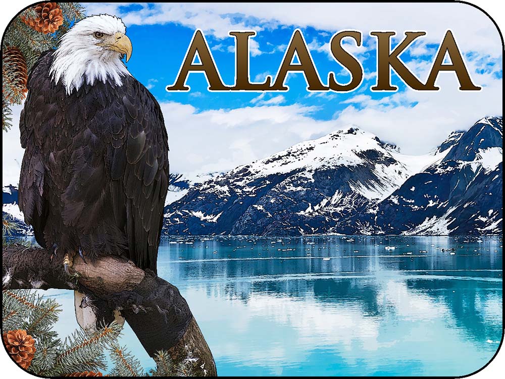 Alaska Bald Eagle Stump Mountainscape & Lake