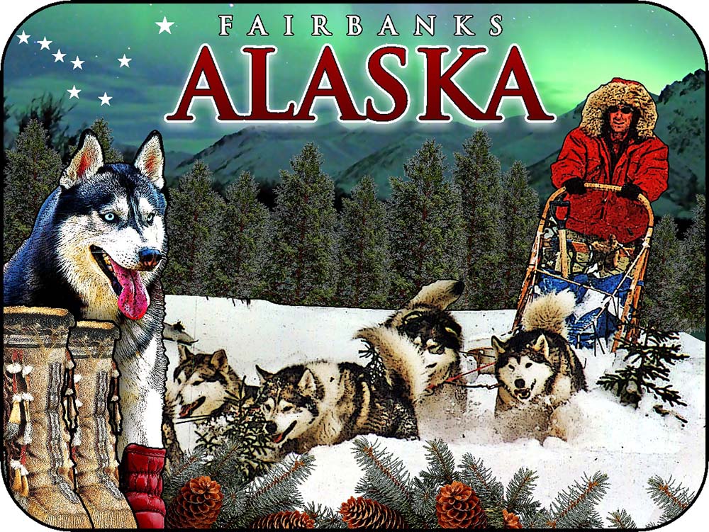 Fairbanks Alaska Dog Sledding Northern Lights