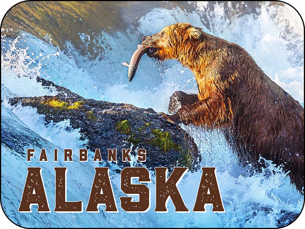 Fairbanks Alaska Fishing Grizzly Bear Salmon - Horizontal