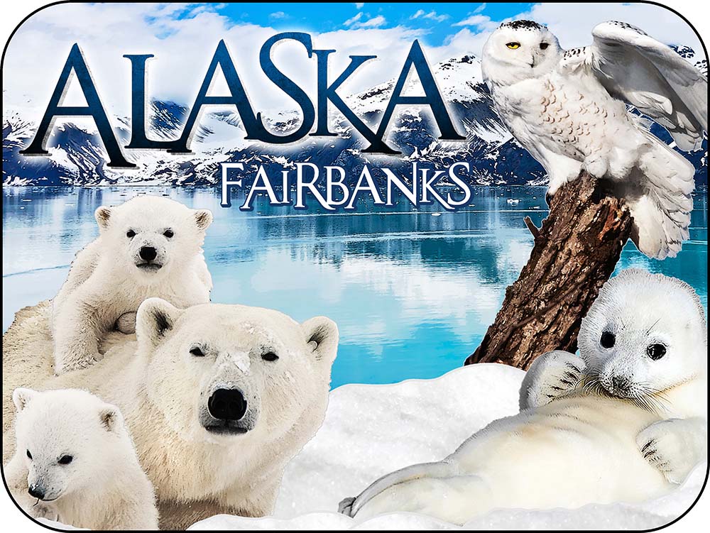 Fairbanks Alaska Harp Seal & Polar Bears - Snowy Owl Glacier