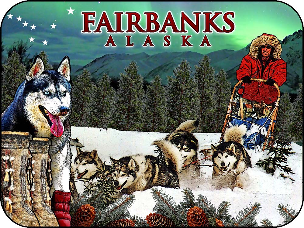 Fairbanks Alaska Husky Dog Sledding Northern Lights