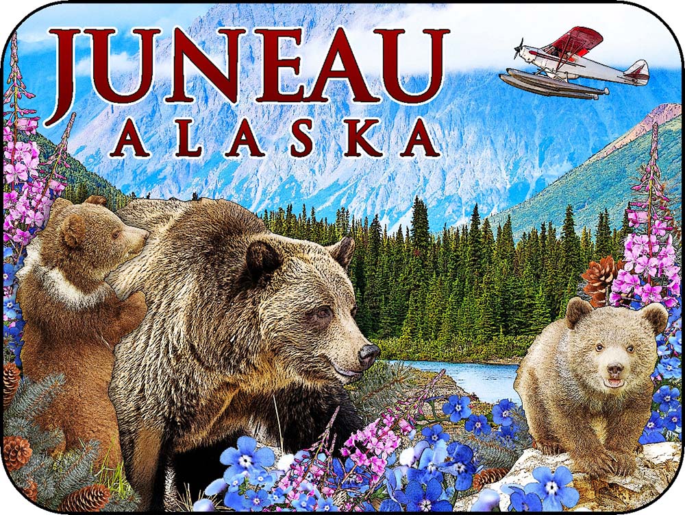 Juneau Alaska Summer Wildflowers Bears & Cubs