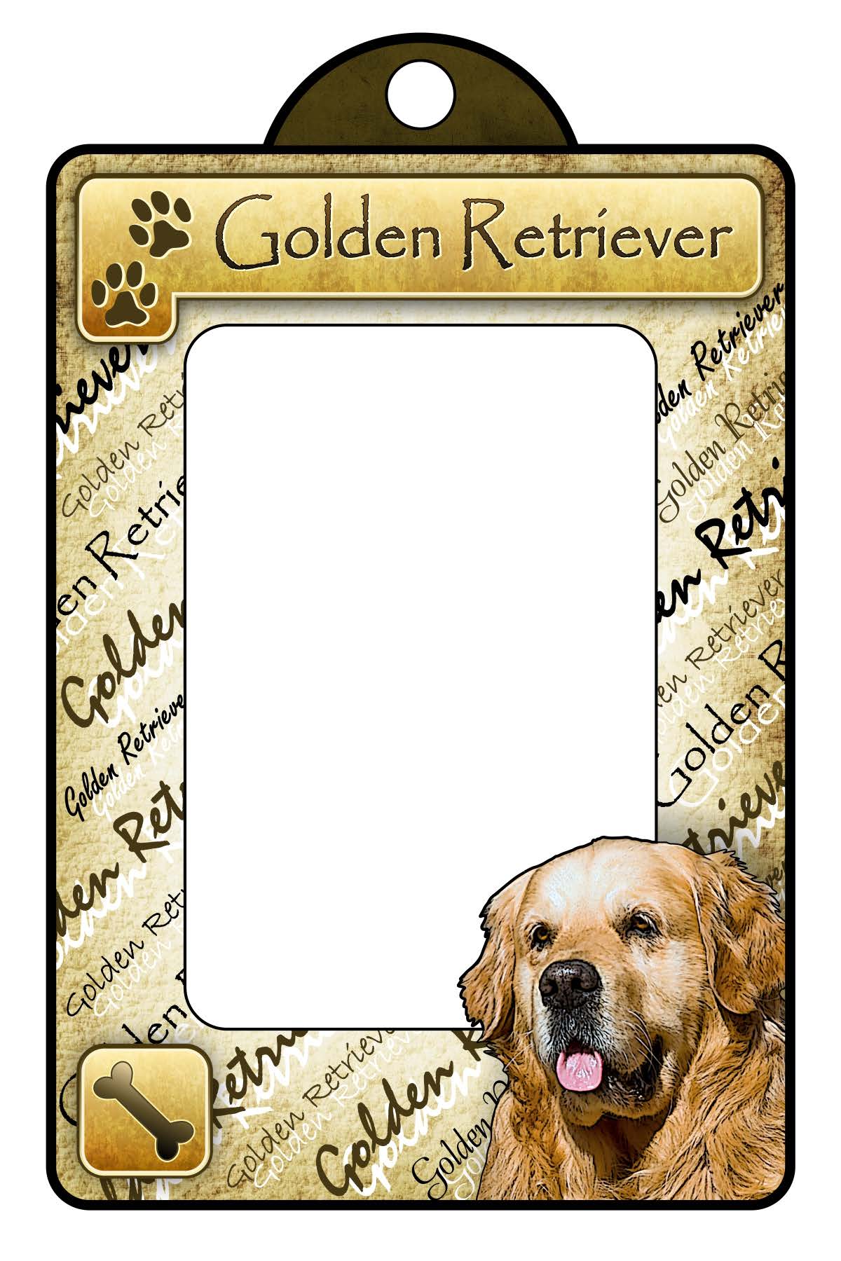Golden Retriever - Classic General