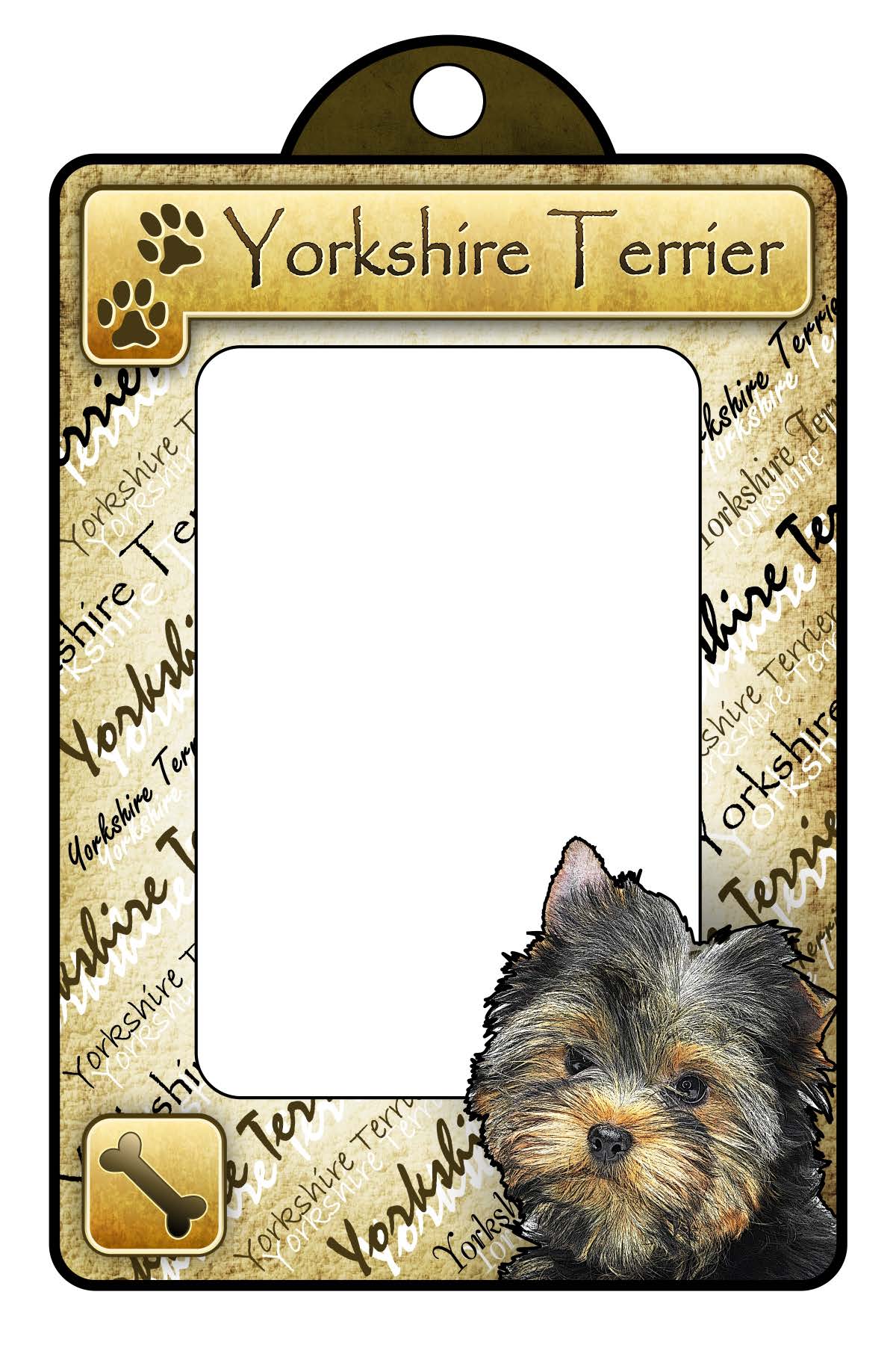 Yorkshire Terrier - Classic General