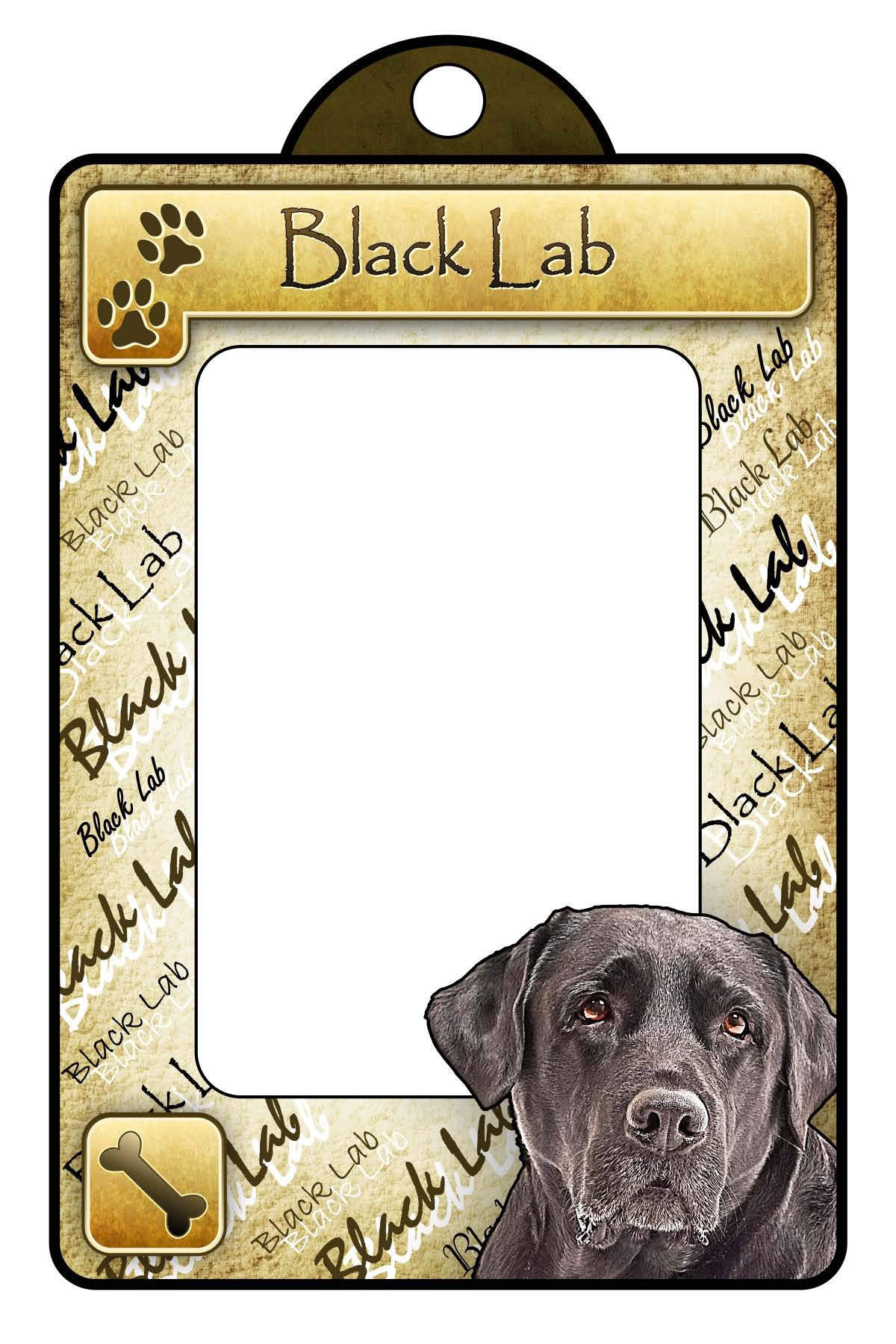 Black Lab - Classic General