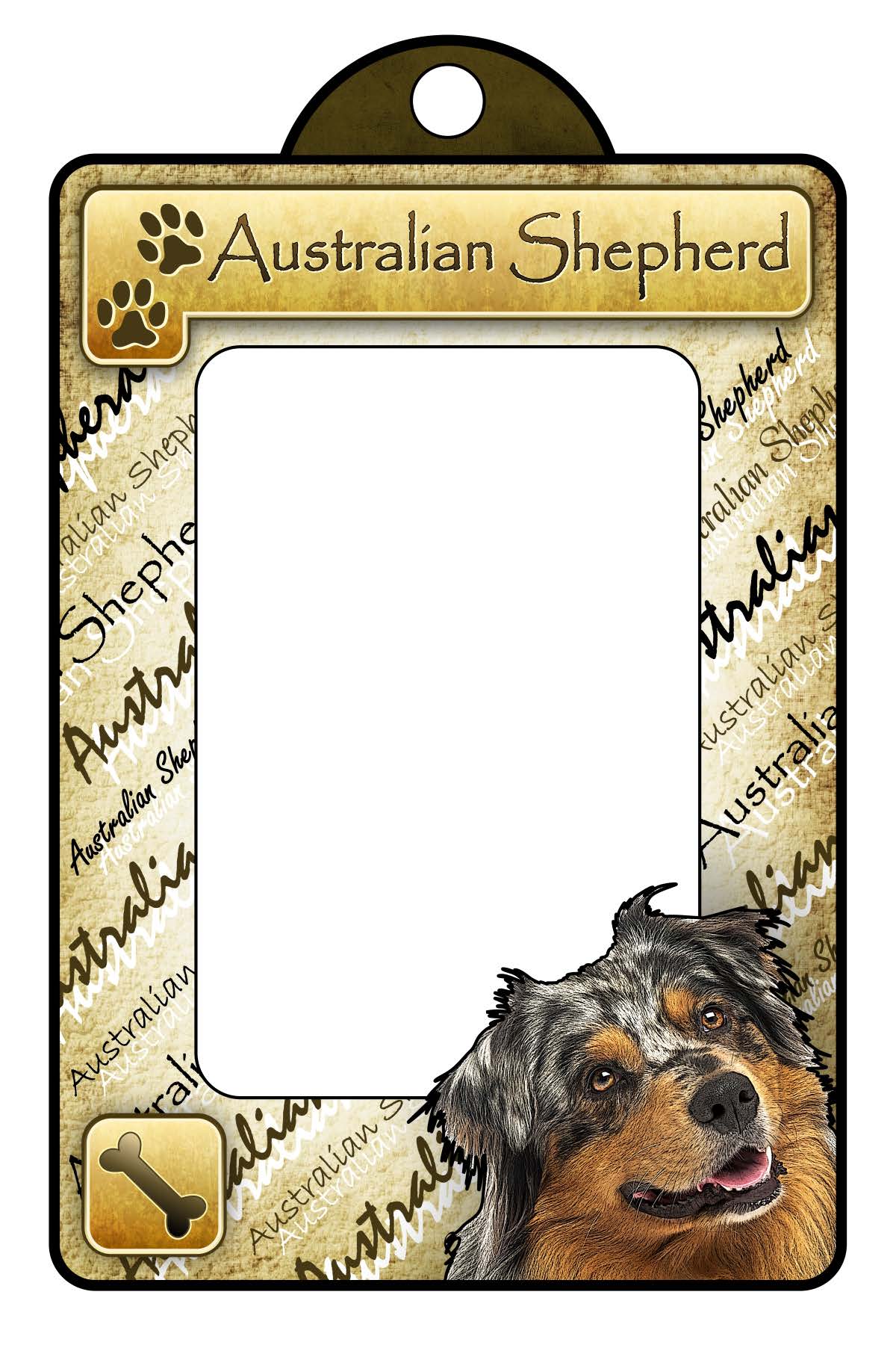 Australian Shepherd - Classic General